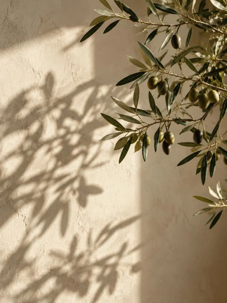 Ramas de olivo y sus sombras sobre una pared cálida